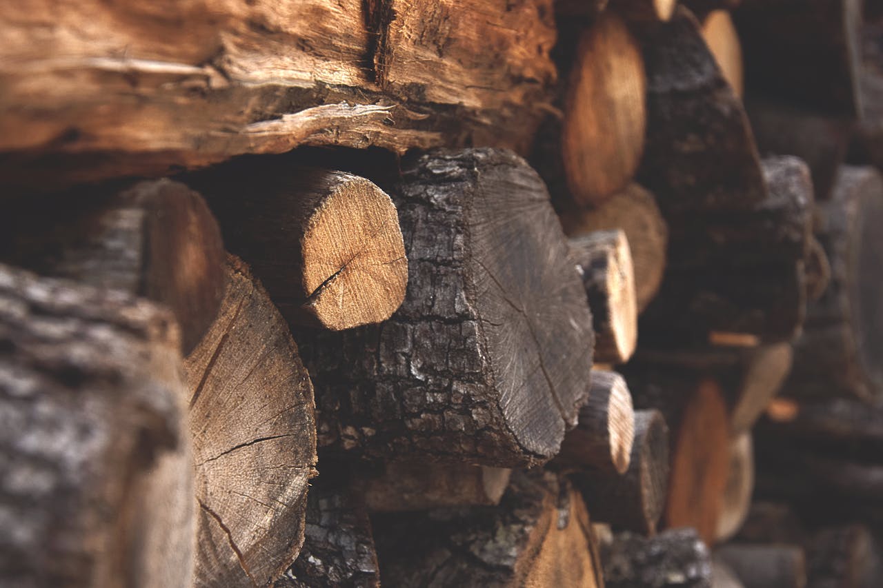 Holz Material Kreative DIY-Projekte mit Holz für Anfänger – Einfach starten, schön gestalten