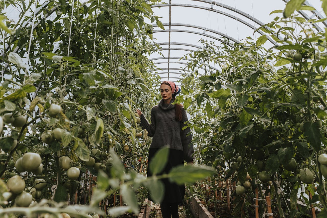 Frau bei der Gartenarbeit Gewächshaus für Hobbygärtner Worauf achten