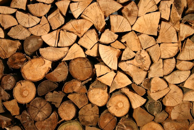 Holzstämme Brennholz holz-und-hobby.de Sidebar