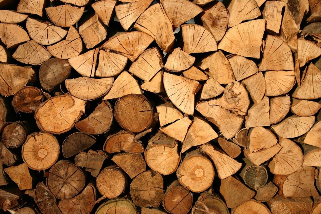 Holzstapel verschiedene Holzsorten Holz richtig lagern – Tipps von Experten