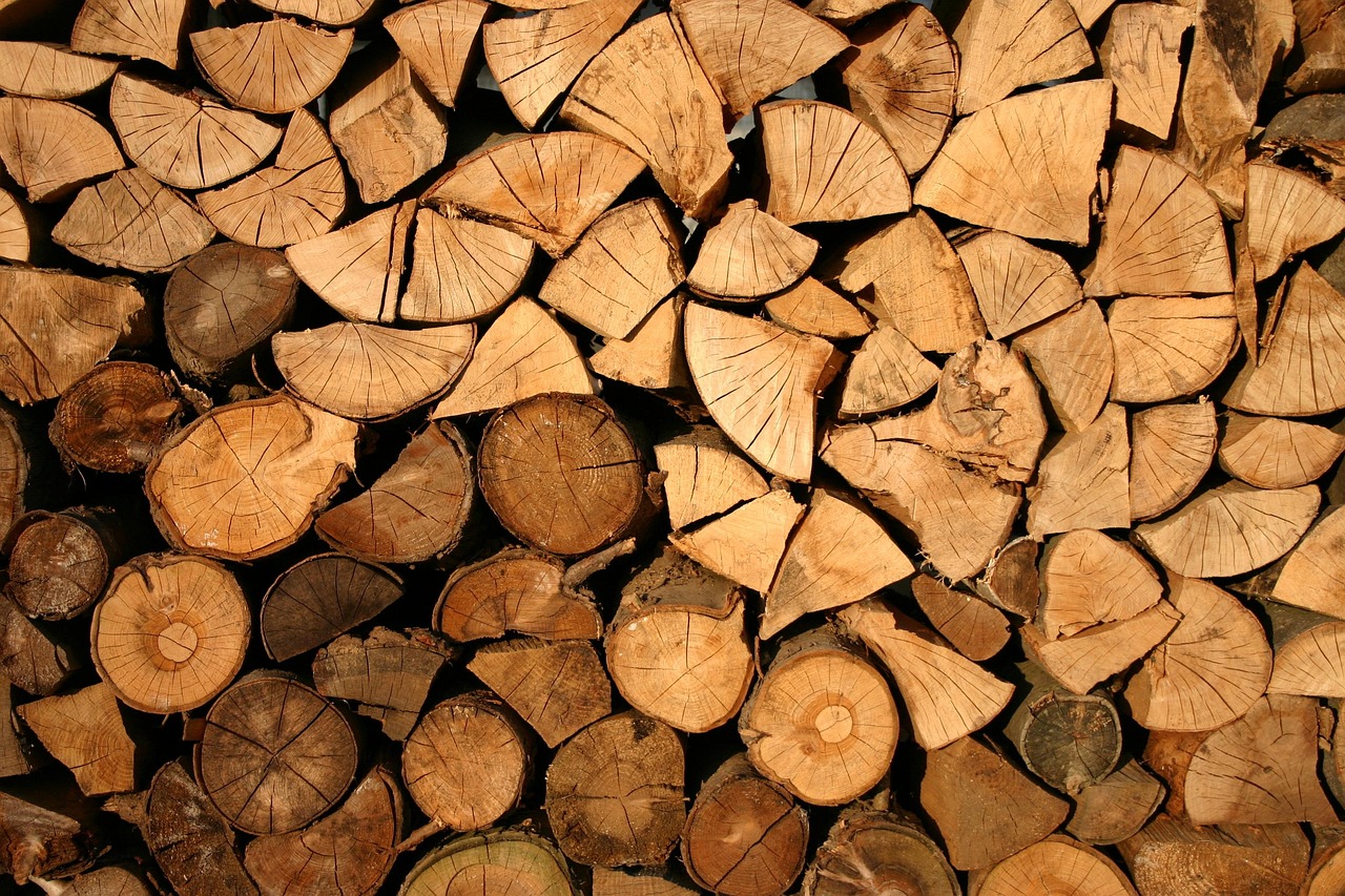 Holzstapel verschiedene Holzsorten Holz richtig lagern – Tipps von Experten