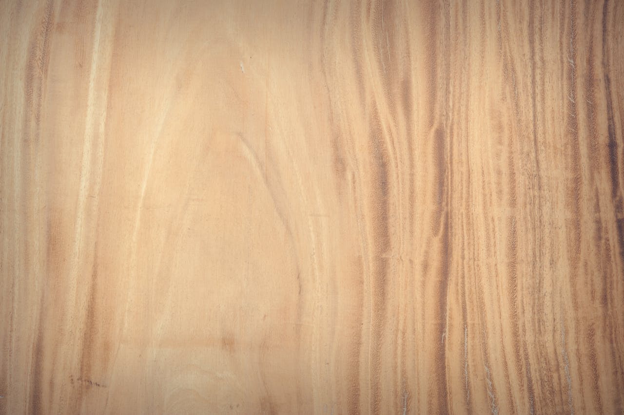 Holz Ahornholz – Steckbrief